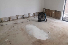 Mould Removal Services IMG-20230203-WA0004