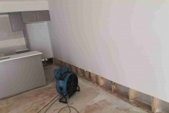 Mould Removal Services IMG-20230203-WA0005