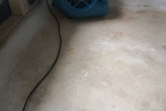 Mould Removal Services IMG-20230203-WA0006