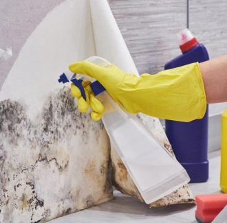 Clean Mould from your House