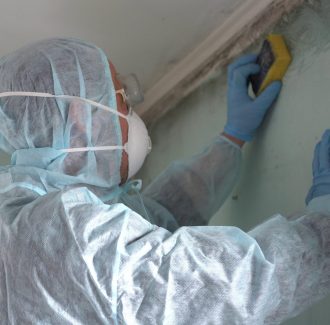 Mould On Bathroom Ceiling