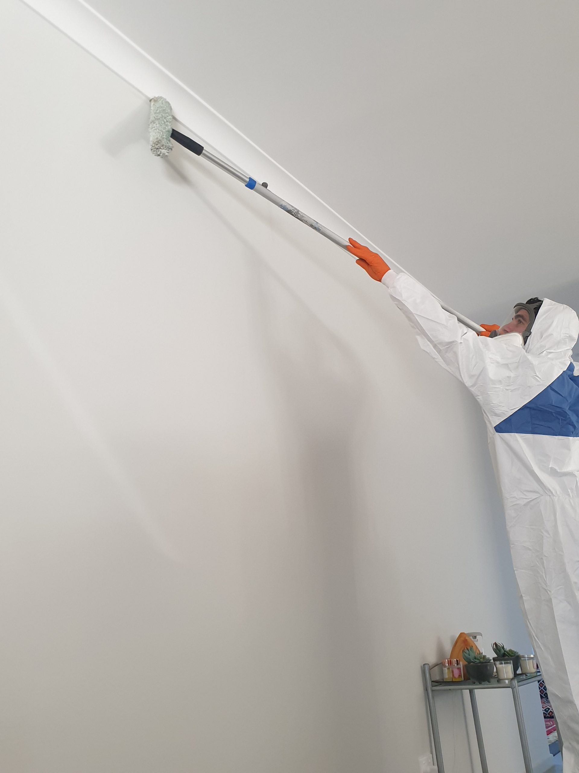 Removing Mould From Walls