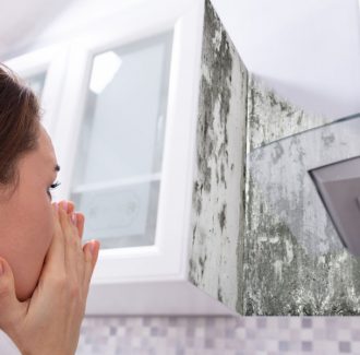 Rid of Mould Smell