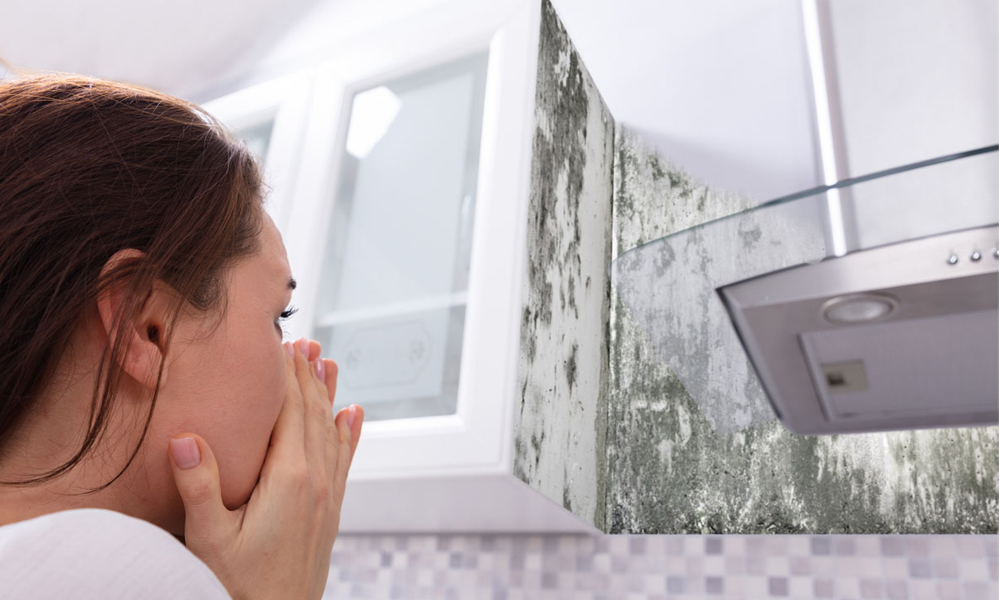 musty-smell-in-room-how-to-get-rid-of-mould-smell