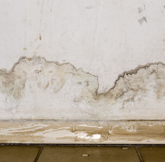 Do you have moulds in your home as a result of flooding