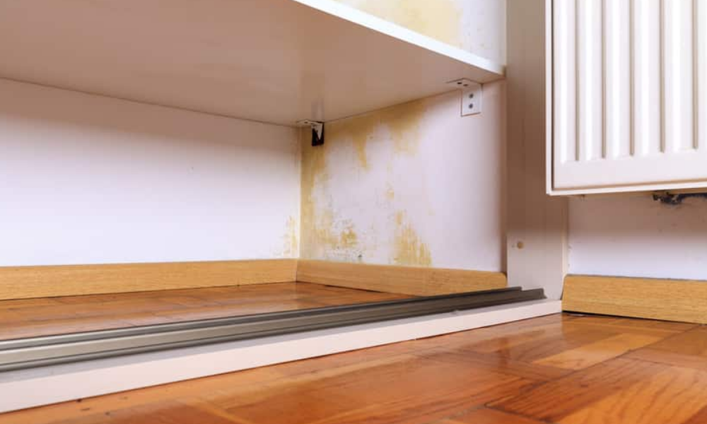 prevent mould in closets & wardrobes