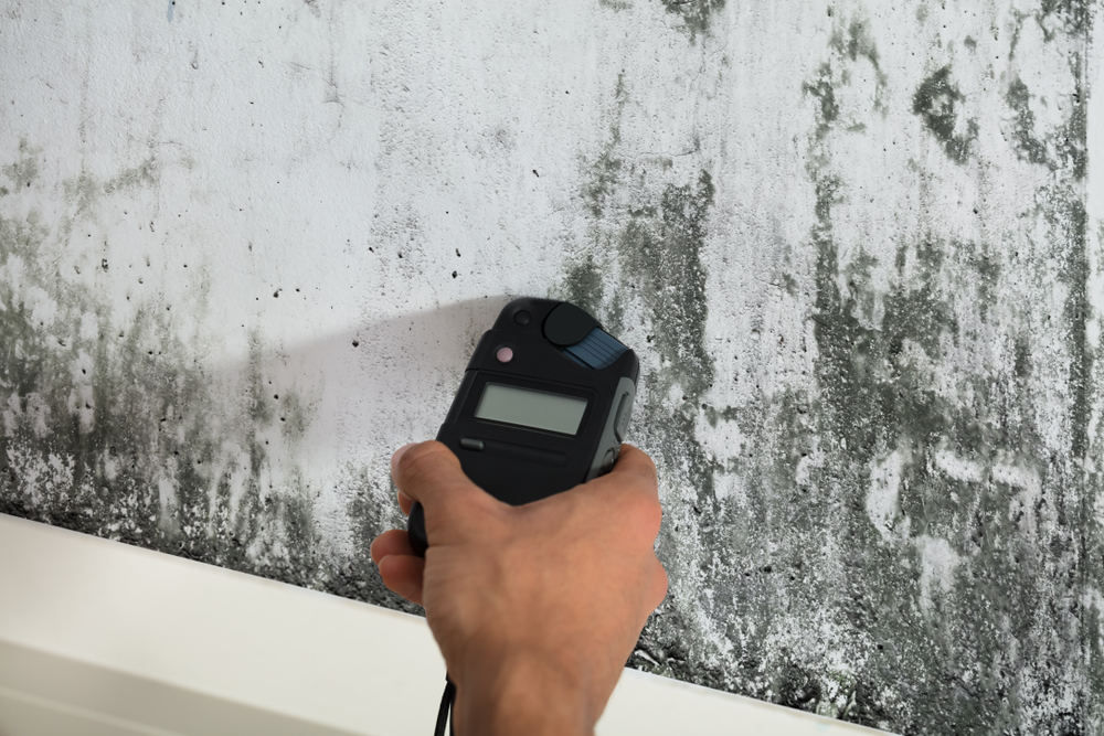 Professional black mould inspection using moisture detection equipment in a Melbourne property