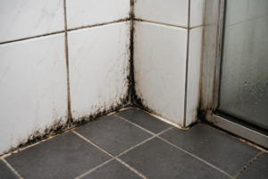 Tile mould contamination affecting bathroom grout lines, silicone joints, and tiled shower corner caused by elevated moisture and condensation.