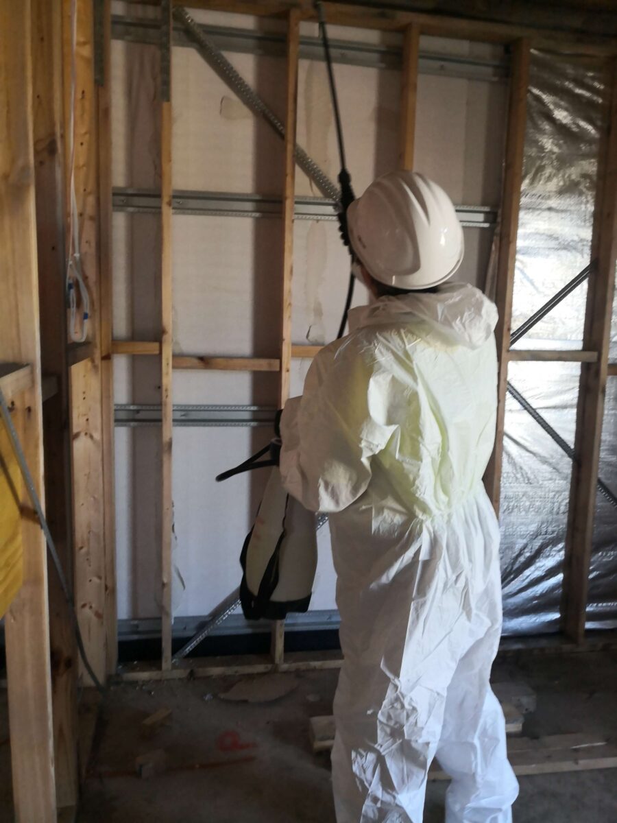 mould remediation technician performing commercial mould removal Melbourne