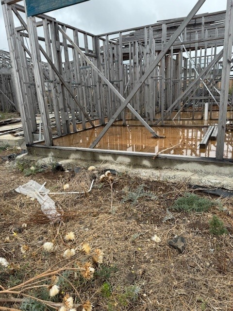 Timber frame mould contamination caused by elevated moisture and water damage within wall cavity framing.